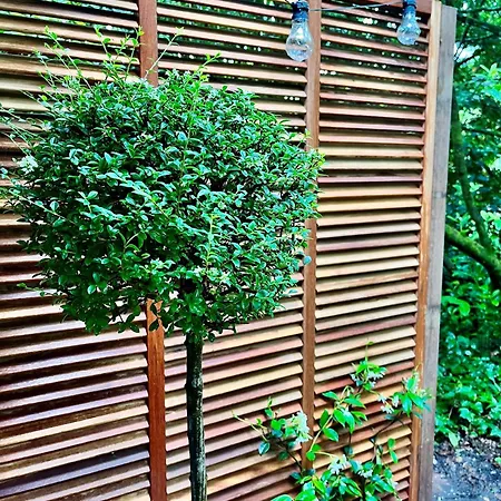 L'ecrin Sous Les Chênes Hébergement de vacances *