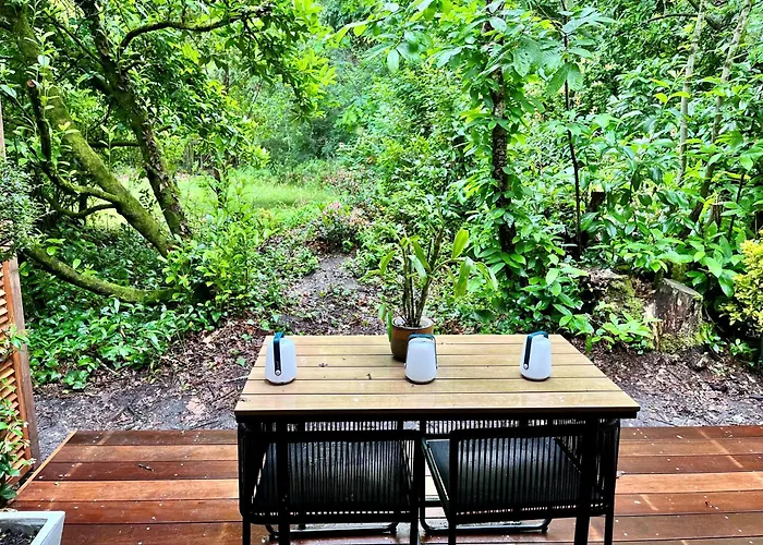 Ferienhaus L'ecrin Sous Les Chenes *